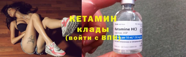 крисы Аркадак