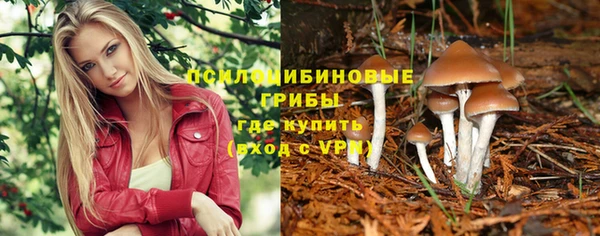 spice Баксан